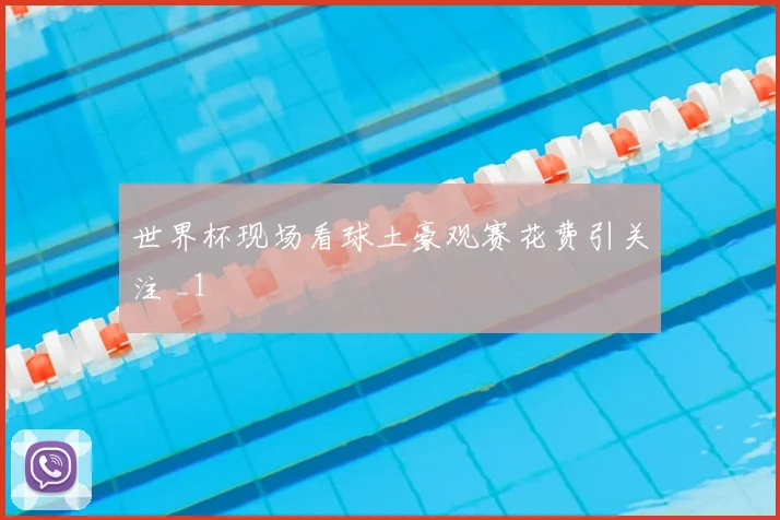 世界杯现场看球土豪观赛花费引关注 _1