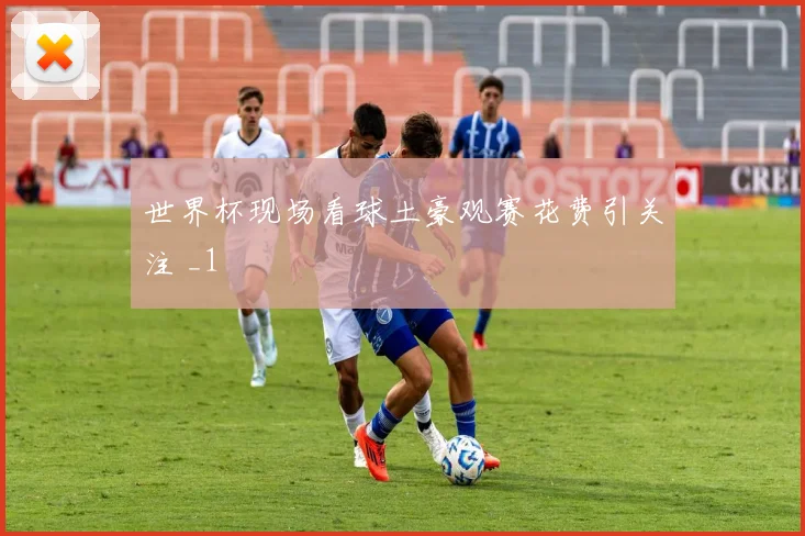 世界杯现场看球土豪观赛花费引关注 _1